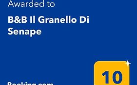 B&B Il Granello Di Senape